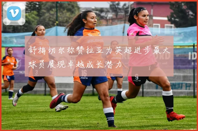 舒梅切尔称赞拉亚为英超进步最大球员展现卓越成长潜力