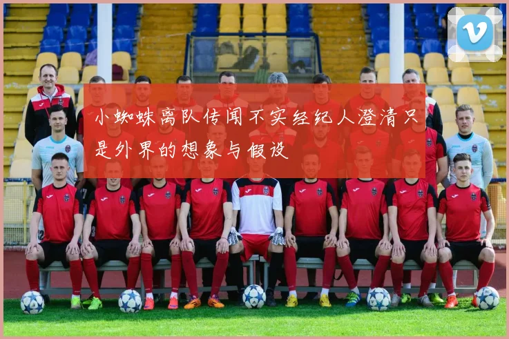 小蜘蛛离队传闻不实经纪人澄清只是外界的想象与假设
