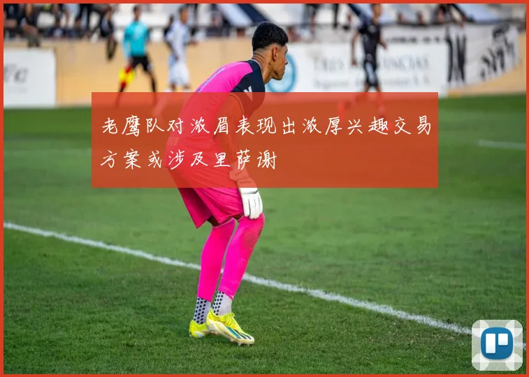 老鹰队对浓眉表现出浓厚兴趣交易方案或涉及里萨谢